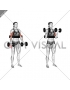 Dumbbell Biceps Curl (with arm blaster) (female)