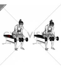 Dumbbell finger curls (female)