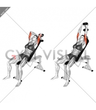 Dumbbell Incline Two Arm Extension (female)