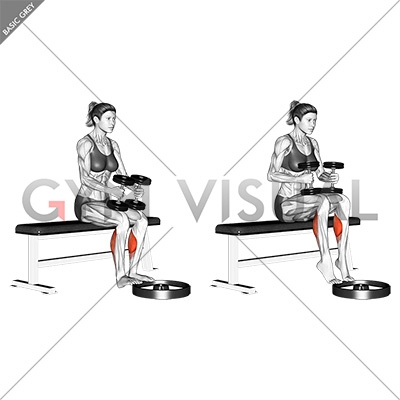 Dumbbell Seated Calf Raise (female)