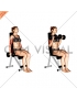 Dumbbell Seated Curl (female)