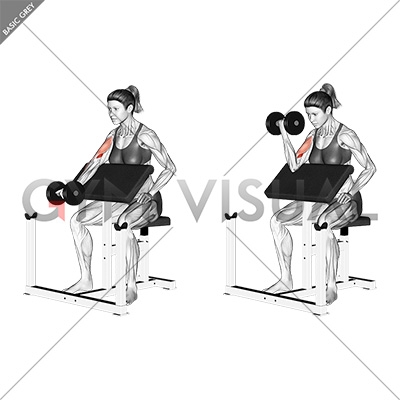 Dumbbell Single Arm Preacher Curl (female)