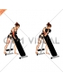 Dumbbell Standing One Arm Curl (over incline bench) (female)