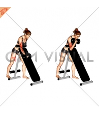 Dumbbell Standing One Arm Curl (over incline bench) (female)