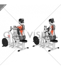 Lever Alternating Narrow Grip Seated Row (plate loaded) (female)