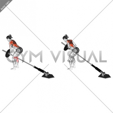 Lever Bent over Row (plate loaded) (female)