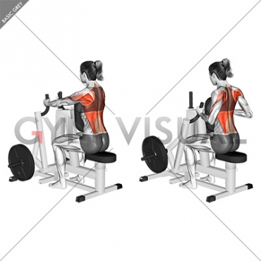 Lever Narrow Grip Seated Row (plate loaded) (female)