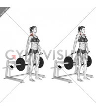 Lever Shrug (plate loaded) (female)