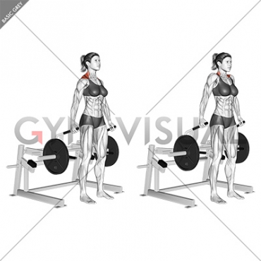 Lever Shrug (plate loaded) (female)