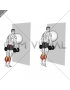 Exercise Ball on the Wall Calf Raise (tennis ball between knees)