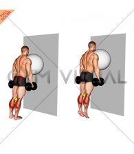 Exercise Ball on the Wall Calf Raise (tennis ball between knees)