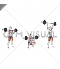 Barbell Thruster