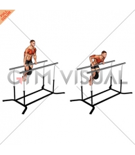 Weighted Straight Bar Dip