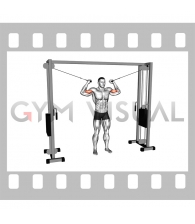 Cable Overhead Curl