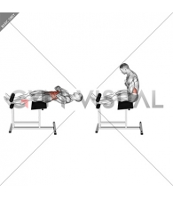 Roman Chair Sit-Up
