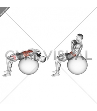 Weighted Stability Ball Crunch (Full range)
