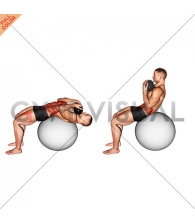 Weighted Stability Ball Crunch (Full range)