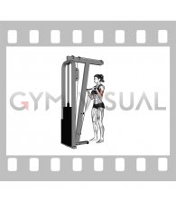 Cable Standing Reverse-Grip Curl (Straight bar) (female)