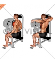Lever Lateral Raise (VERSION 2)
