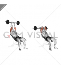 EZ Barbell Incline Triceps Extension