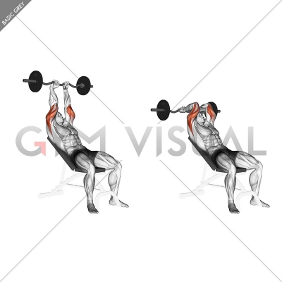 EZ Barbell Incline Triceps Extension - Gym visual