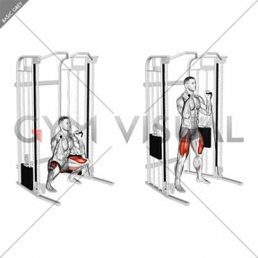 Cable Front Squat