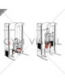 Cable Front Squat