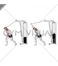 Cable One Arm High Pulley Overhead Tricep Extension