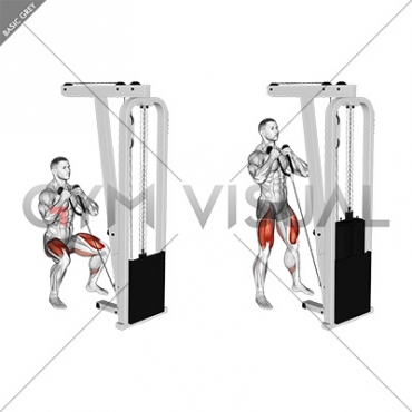 Cable Front Squat (VERSION 2)