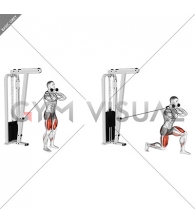 Cable Forward Lunge