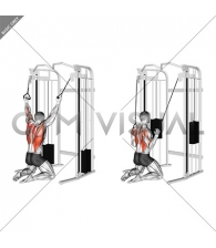 Cable Parallel Grip Lat Pulldown on Floor