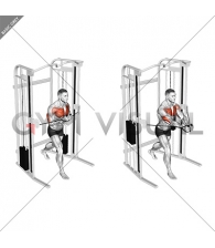 Cable Standing Close Press