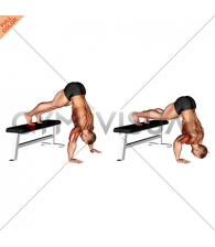 Pike Push up (on Bench) (VERSION 2)