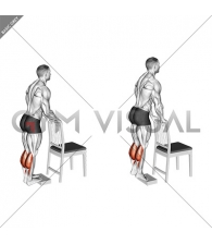 Calf Raise from Deficit with Chair Supported