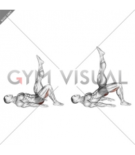 Single Leg Hip Bridge (straight leg) (male)