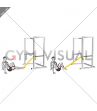 Resistance Band Seated Single Leg Curl