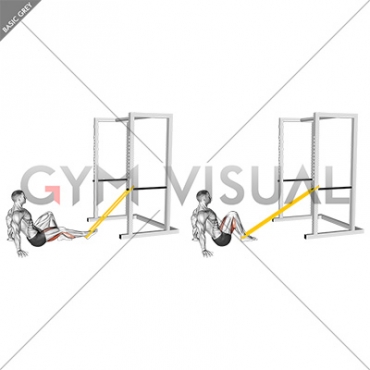 Resistance Band Seated Single Leg Curl