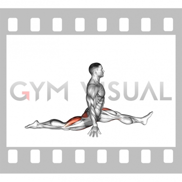 Flexion And Extension Hip Stretch (male)