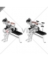 Dumbbell Seated Kickback (female)