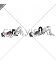 Dumbbell Glute Bridge (female)