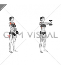 Dumbbell Front Raise (VERSION 2) (female)