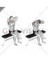 Seated Flexion And Extension Neck (male)