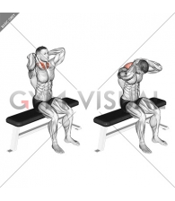Seated Flexion And Extension Neck (male)