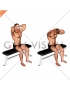 Seated Flexion And Extension Neck (male)