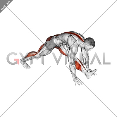Standing Hamstring Stretch Diagram