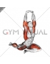 Lying Leg Tuck Hip Stretch wth Overhead Hands (male)