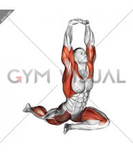 Lying Leg Tuck Hip Stretch wth Overhead Hands (male)