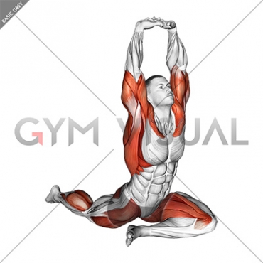 Lying Leg Tuck Hip Stretch wth Overhead Hands (male)