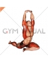 Lying Leg Tuck Hip Stretch wth Overhead Hands (male)