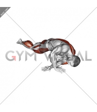 Lying Leg Tuck Hip Back to Right Stretch (male)